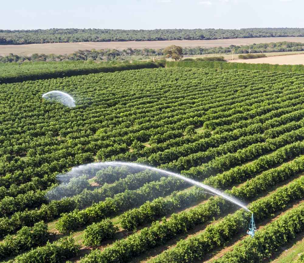 modernized irrigation